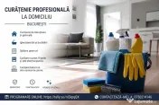 Curatenie profesionala la domiciliu in Bucuresti 