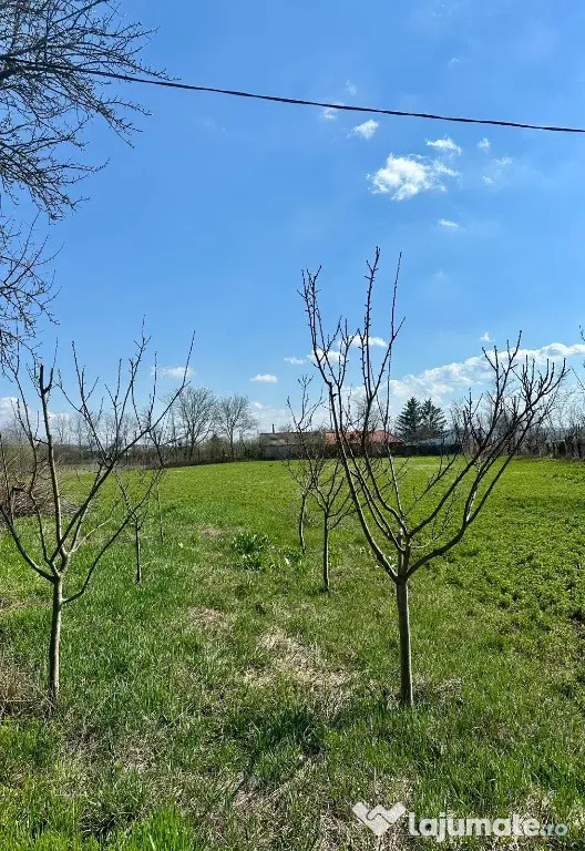 Vând teren 4500mp în Sofronesti - Sofronesti (Vaslui)