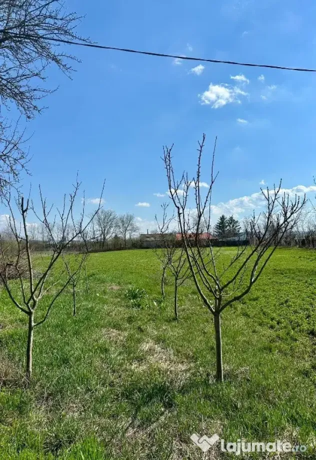 Vând teren 4500mp în Sofronesti - Sofronesti (Vaslui)