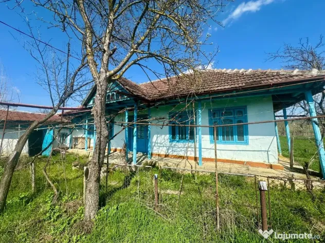 Vând teren 4500mp în Sofronesti - Sofronesti (Vaslui)
