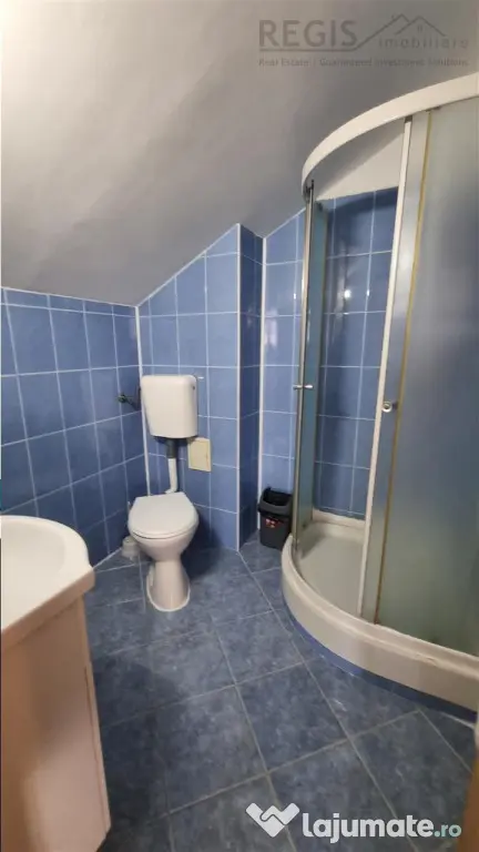 Studio in vila zona Dealul Cetatii - Brasov (Brasov)