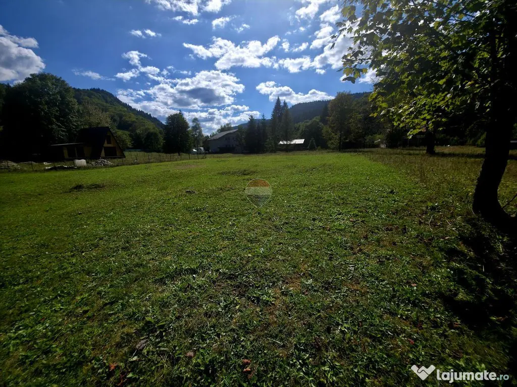 Teren 1,113mp Cazaci / Strada Principala - Cazaci (Neamt)