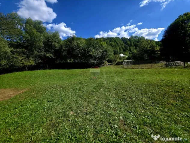 Teren 1,113mp Cazaci / Strada Principala - Cazaci (Neamt)