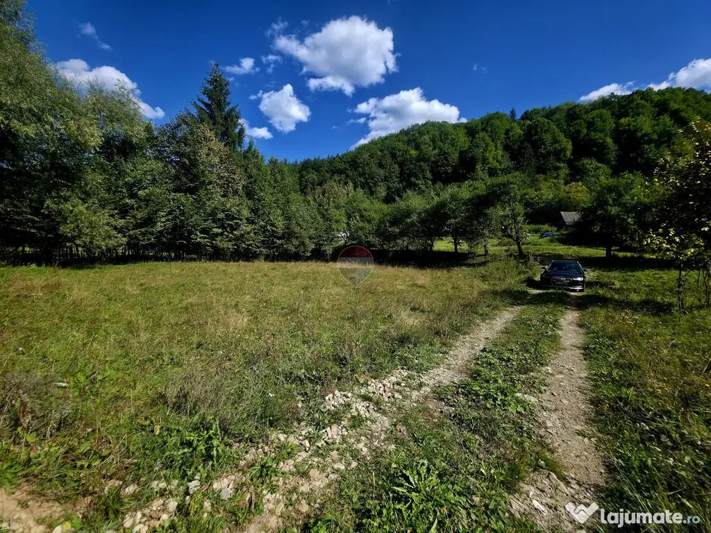 Teren 1,113mp Cazaci / Strada Principala - Cazaci (Neamt)