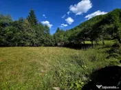 Teren 1,113mp Cazaci / Strada Principala 
