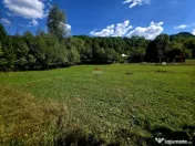 Teren 1,113mp Cazaci / Strada Principala 