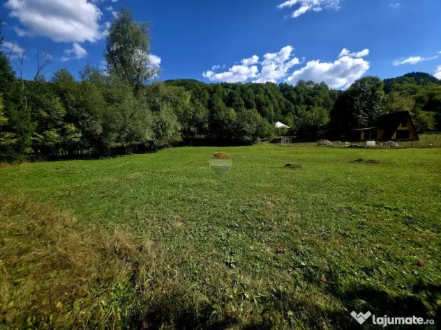 Teren 1,113mp Cazaci / Strada Principala - Cazaci (Neamt)
