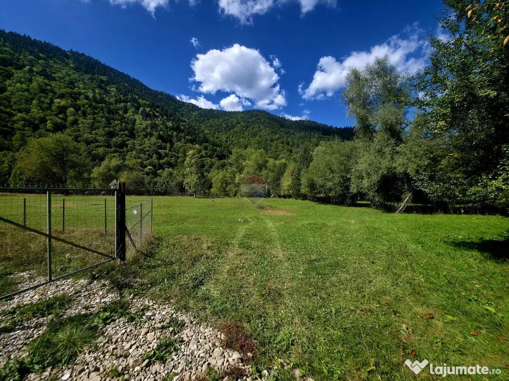 Teren 1,113mp Cazaci / Strada Principala - Cazaci (Neamt)