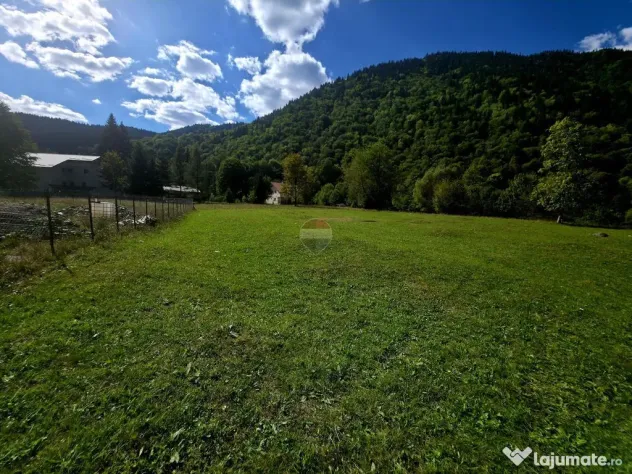 Teren 1,113mp Cazaci / Strada Principala - Cazaci (Neamt)