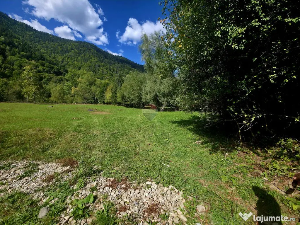 Teren 1,113mp Cazaci / Strada Principala - Cazaci (Neamt)