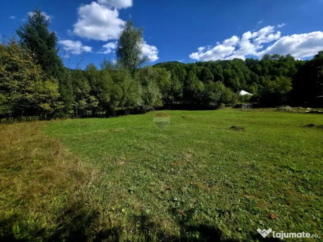 Teren 1,113mp Cazaci / Strada Principala - Cazaci (Neamt)