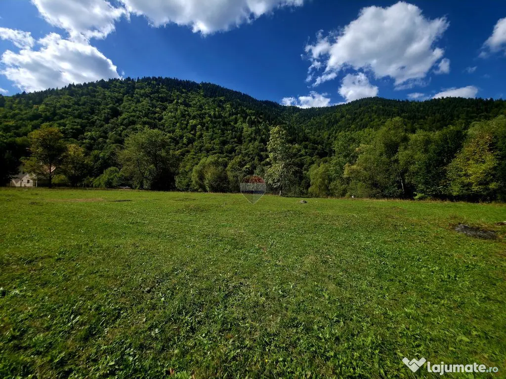 Teren 1,113mp Cazaci / Strada Principala - Cazaci (Neamt)