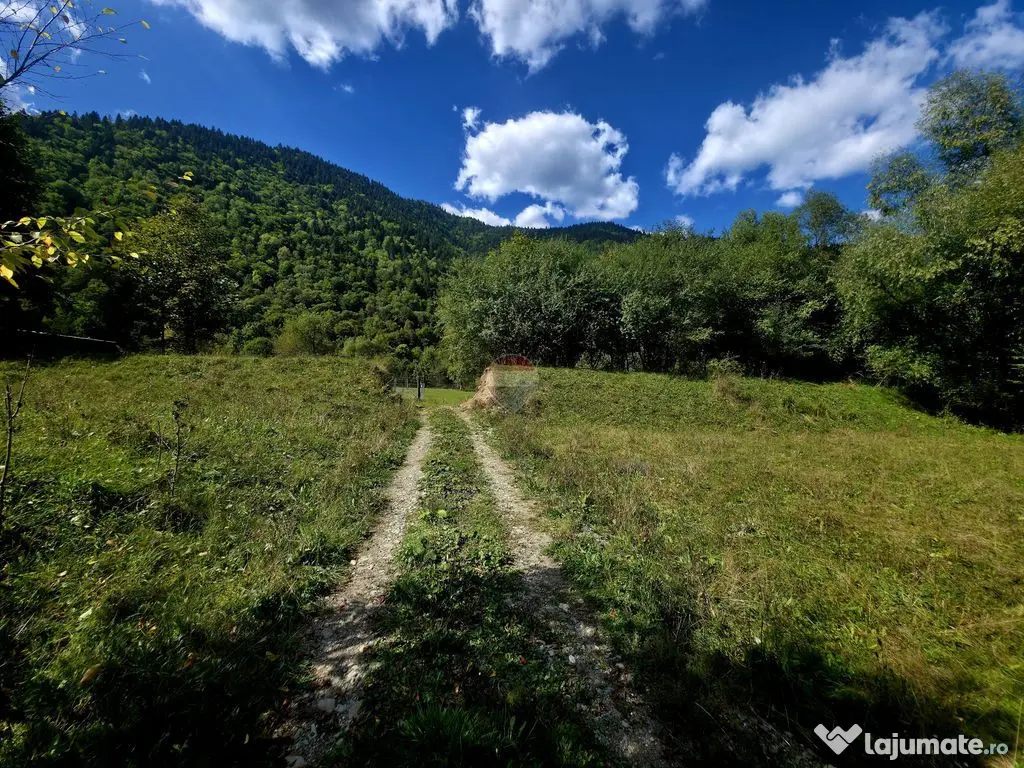 Teren 1,113mp Cazaci / Strada Principala - Cazaci (Neamt)