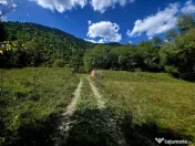 Teren 1,113mp Cazaci / Strada Principala 