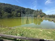 Complex Turistic activ, 2 lacuri ,teren 16800 mp -zona Valea Dobârlău 