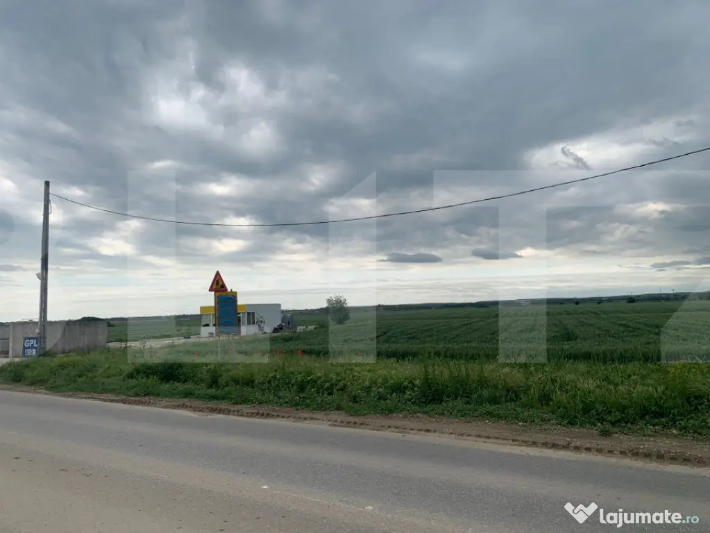 Teren extravilan 6.366 mp, acces facil, potențial investiț - Slatioara (Olt)