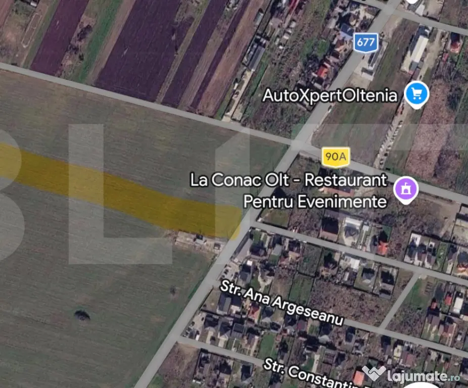 Teren extravilan 6.366 mp, acces facil, potențial investiț - Slatioara (Olt)