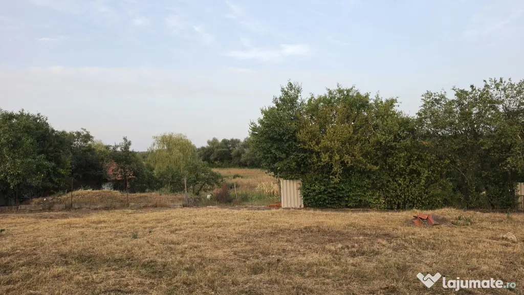 Teren intravinal – Vermeș, Caraș-Severin