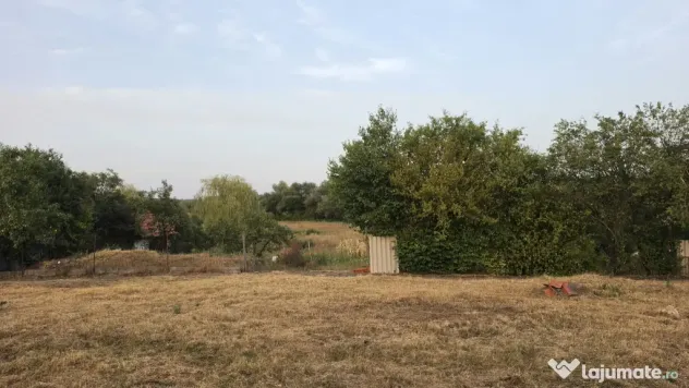 Teren intravinal – Vermeș, Caraș-Severin