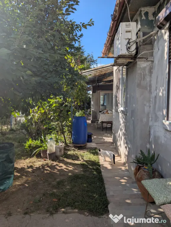 CASA DE VANZARE -COMUNA BESTEPE, TEREN 5165 MP - Bestepe (Tulcea)