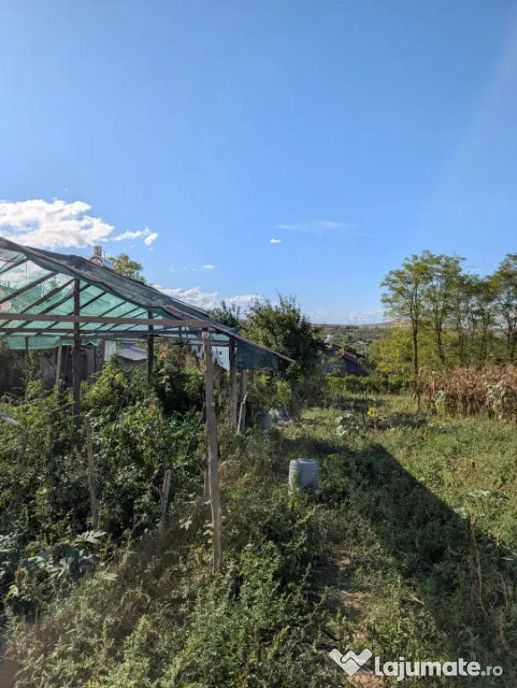 CASA DE VANZARE -COMUNA BESTEPE, TEREN 5165 MP - Bestepe (Tulcea)