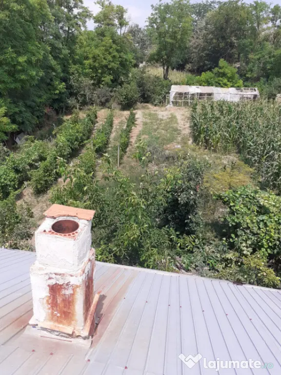 CASA DE VANZARE -COMUNA BESTEPE, TEREN 5165 MP - Bestepe (Tulcea)