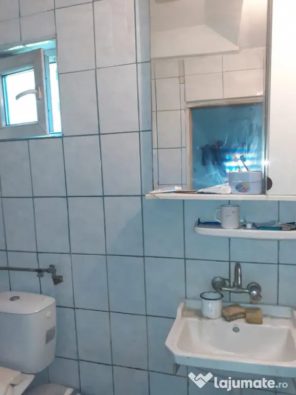 CASA DE VANZARE -COMUNA BESTEPE, TEREN 5165 MP - Bestepe (Tulcea)