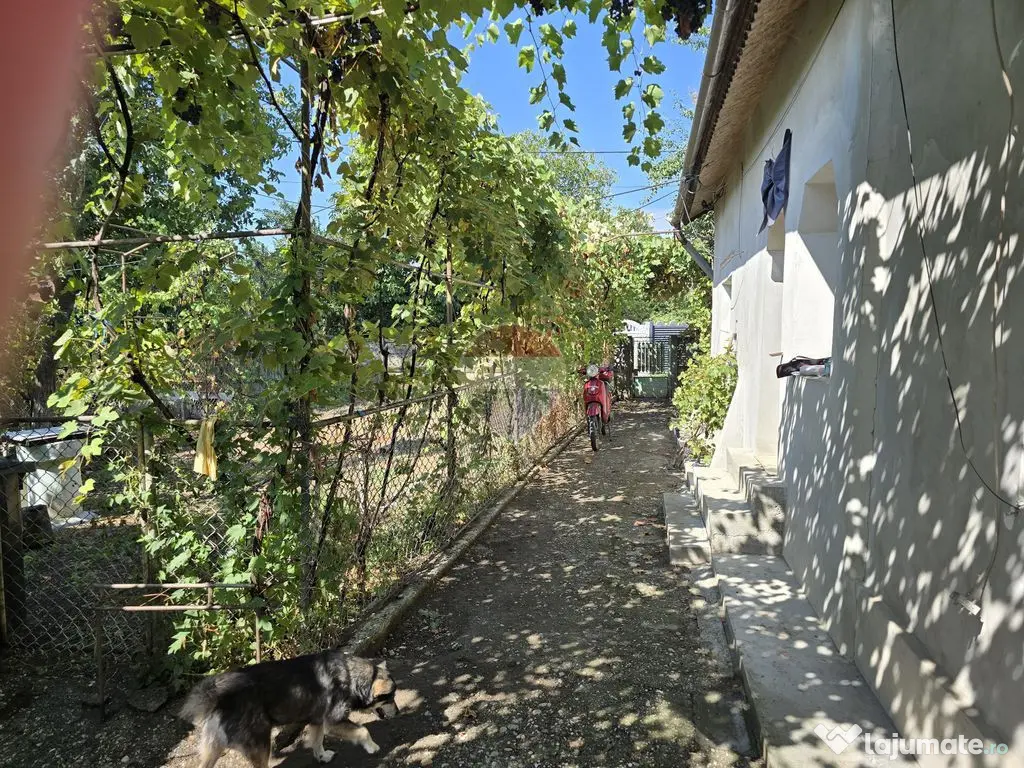 Casă de caramida finisata 75mp, teren 900mp | jud Dambovita - Brancoveanu (Dambovita)