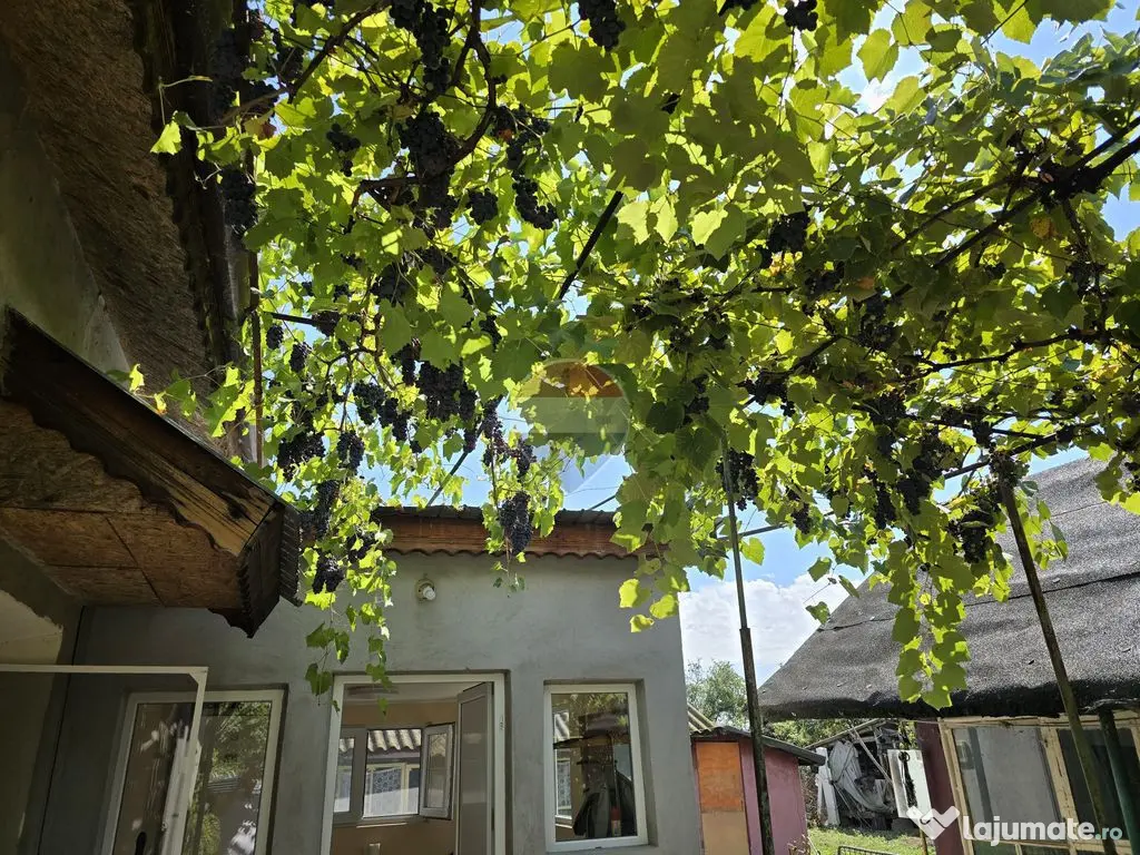 Casă de caramida finisata 75mp, teren 900mp | jud Dambovita - Brancoveanu (Dambovita)