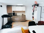 Duplex 4 camere + Apartament - V7228 