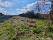 Teren intravilan de 1952 mp cu utilitati - zona Parta