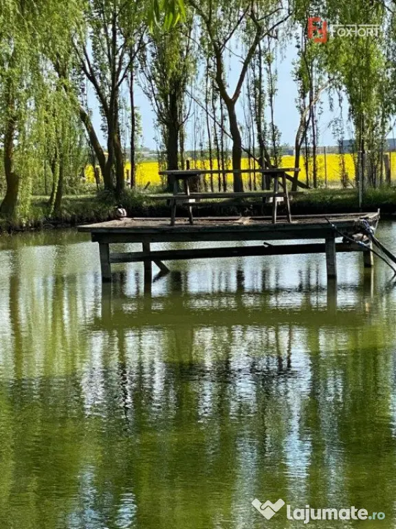 Vila Duplex cu lac si piscina Giarmata Vii cu 5880 mp de te - Giarmata Vii (Timis)