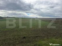 Teren intravilan, 5200mp, 19m deschidere, Scheia