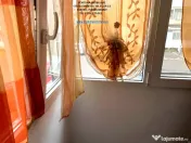 Apartament 2 camere,etaj 1,mobilat,utilat,parcare,Macrina-Darmanesti 
