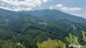 Teren intravilan, 3000 mp, Dâmbu Morii 