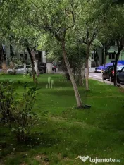 Garsoniera decomandata Constantin Brancoveanu / Lamotesti 