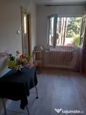 Alba iulia unirii confort 2 