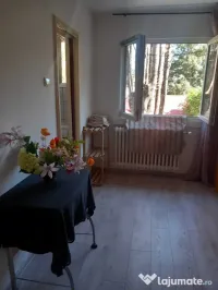 Alba iulia unirii confort 2