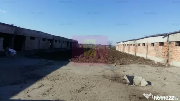 Teren Balotesti- Saftica- ideal pentru constructie locuinte. - Balotesti (Bucuresti-Ilfov)