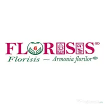 Cautam spirit creativ pentru florarie