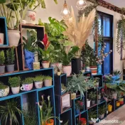 Cautam spirit creativ pentru florarie 