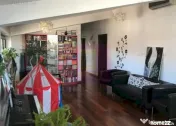 Vila Floreasca- Barbu Vacarescu- stradal. 