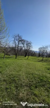 Teren intravilan Talea 