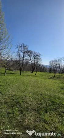 Teren intravilan Talea