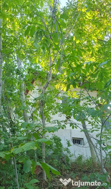 Casă 3 camere, garaj și teren - Rm. Vâlcea