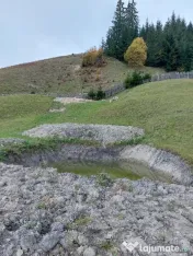 Livadă de vânzare 