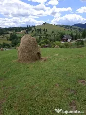 Livadă de vânzare 