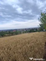 TEREN PAULESTI//10.000 MP