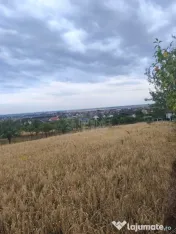 TEREN PAULESTI//10.000 MP