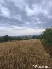 TEREN PAULESTI//10.000 MP